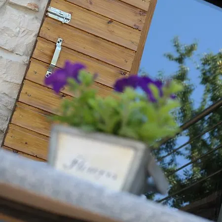 Hedona アパート *