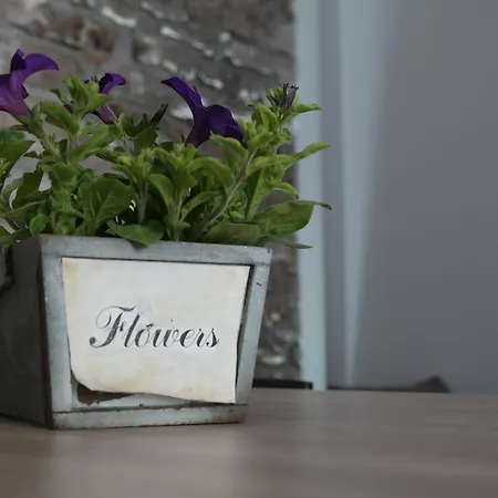 Apartment Hedona Pula