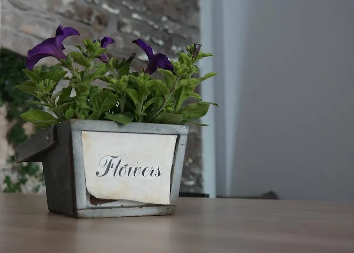 Apartment Hedona Pula